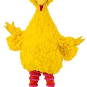 Meet your Posher, Jesse